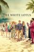 Poster image for THE WHITE LOTUS: SEASON 1