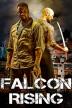 Poster image for FALCON RISING