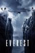 Poster image for EVEREST
