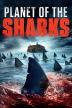 Poster image for PLANET OF THE SHARKS
