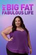 Poster image for My Big Fat Fabulous Life - Season 12