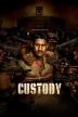 Poster image for Custody