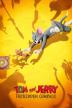 Poster image for Tom and Jerry: Forbidden Compass