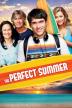 Poster image for THE PERFECT SUMMER