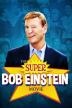Poster image for The Super Bob Einstein Movie