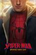 Poster image for Spider-Man: Brand New Day