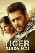 Poster image for TIGER ZINDA HAI