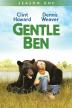 Poster image for GENTLE BEN SEASONS 1-2