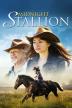 Poster image for MIDNIGHT STALLION