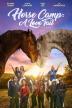 Poster image for HORSE CAMP: A LOVE TAIL
