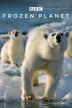 Poster image for FROZEN PLANET - TO THE ENDS OF THE EARTH
