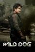 Poster image for WILD DOG