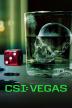 Poster image for CSI: Vegas - Season 3
