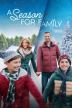 Poster image for A Season for Family