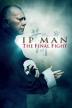 Poster image for IP MAN THE FINAL FIGHT
