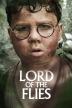 Poster image for Lord of the Flies – Season 1
