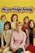 Poster image for THE PARTRIDGE FAMILY SEASONS 3 & 4