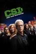Poster image for CSI SEASON 13