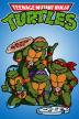 Poster image for TEENAGE MUTANT NINJA TURTLES - VOLUME 16