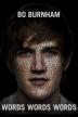 Poster image for BO BURNHAM: WORDS WORDS WORDS