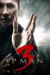 Poster image for IP MAN 3