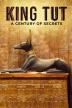 Poster image for King Tut: A Century of Secrets