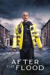 Poster image for After The Flood: Season One