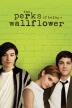 Poster image for THE PERKS OF BEING A WALLFLOWER