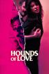 Poster image for HOUNDS OF LOVE