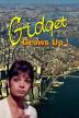 Poster image for Gidget Grows Up