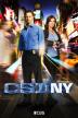 Poster image for CSI NY SEASON 7