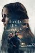 Poster image for What We Hide