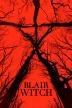 Poster image for BLAIR WITCH