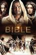 Poster image for THE BIBLE