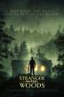 Poster image for Stranger In The Woods
