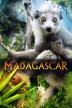 Poster image for MADAGASCAR 3D