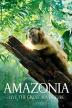 Poster image for AMAZONIA
