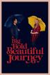 Poster image for A Big Bold Beautiful Journey