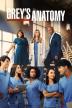 Poster image for GREY'S ANATOMY - SEASON 9 / EPS 13-24