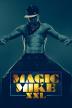 Poster image for MAGIC MIKE XXL