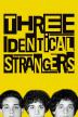 Poster image for THREE IDENTICAL STRANGERS