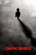 Poster image for DARK SKIES