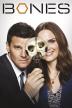 Poster image for BONES - SEASON 10