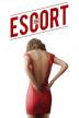 Poster image for THE ESCORT