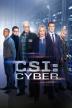 Poster image for CSI: CYBER: SEASON 2