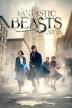Poster image for FANTASTIC BEASTS AND WHERE TO FIND THEM