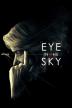 Poster image for EYE IN THE SKY