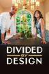 Poster image for Divided By Design