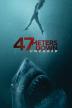 Poster image for 47 METERS DOWN: UNCAGED
