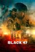 Poster image for BLACK '47